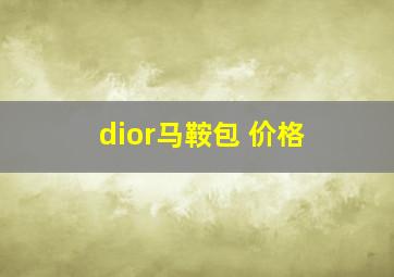 dior马鞍包 价格